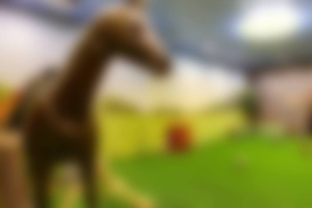 Фотография квеста Клад на ферме от компании Fastumgame (Фото 2)