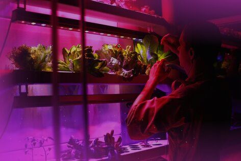 Квест «Алмазная Лихорадка» от Станция «Марс» Квест «Алмазная Лихорадка» от Станция «Марс»