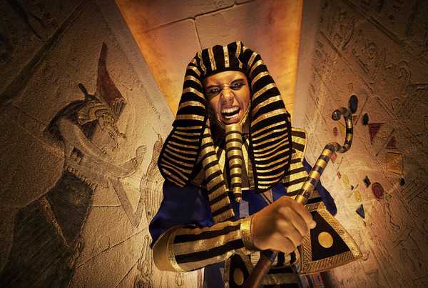 Фотография квеста «Проклятие Рамзеса»