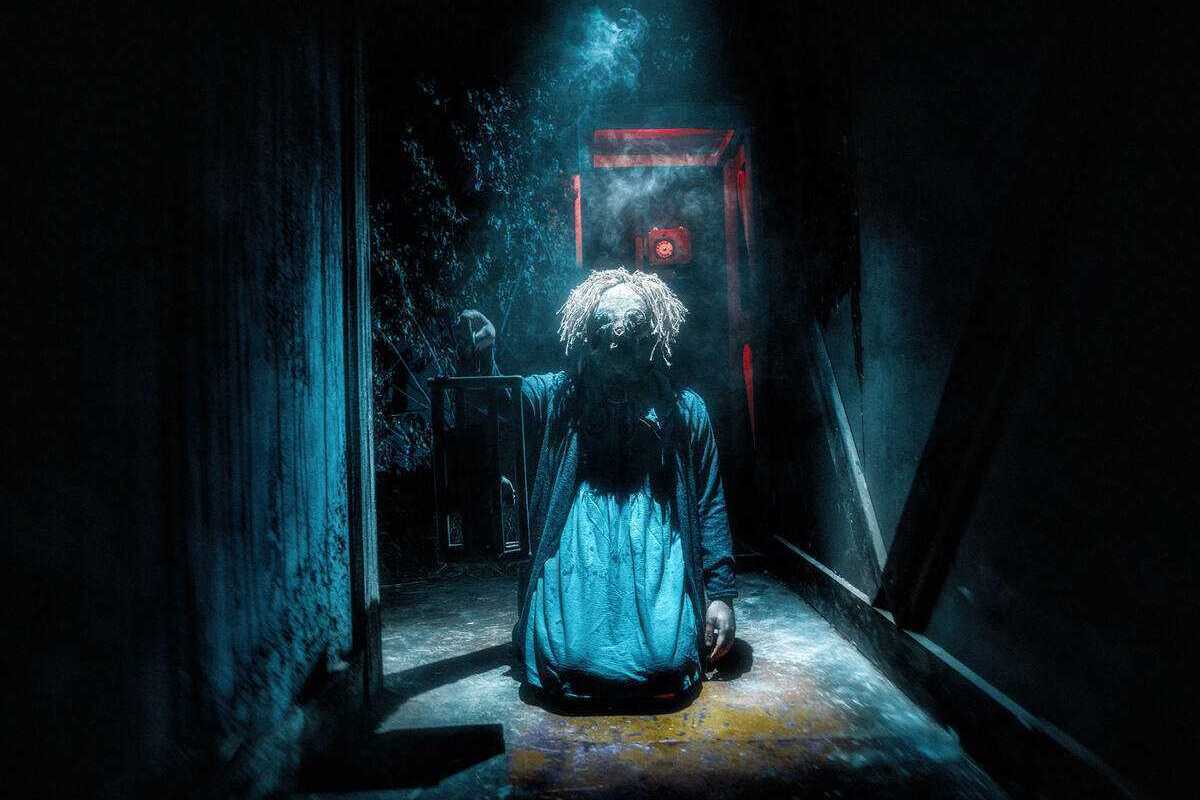 Низкие цены в «Приюте»