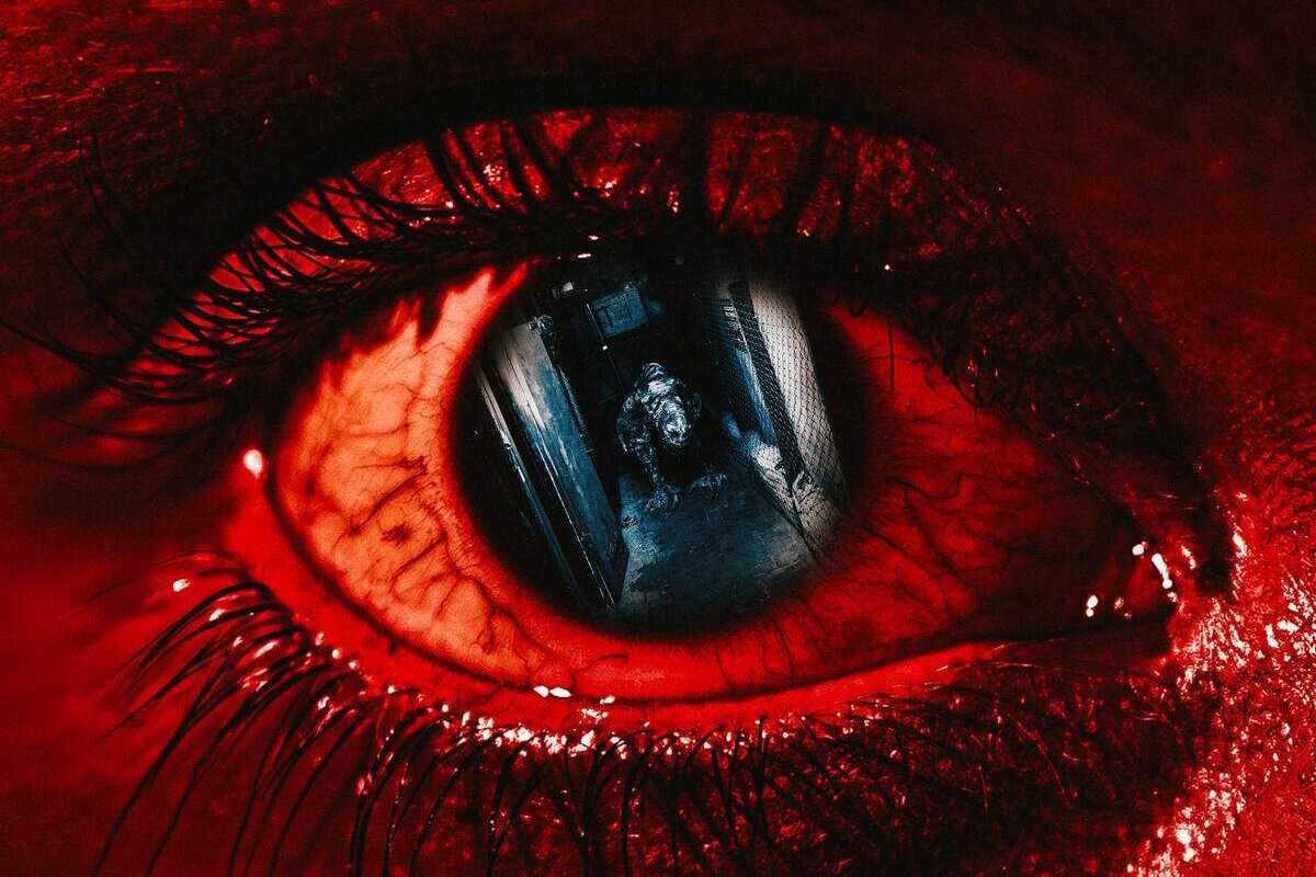 Скидка 10 % в перформансе «Amnesia»