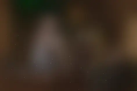 Квест «Операция Starlite» от claustrophobia.com