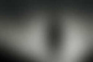 Фотография перформанса Slenderman от компании ACTION GAMES (Фото 1)