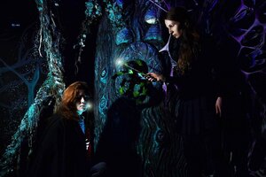 Фотография квеста Приключения Гарри от компании ATMOkids (Фото 5)