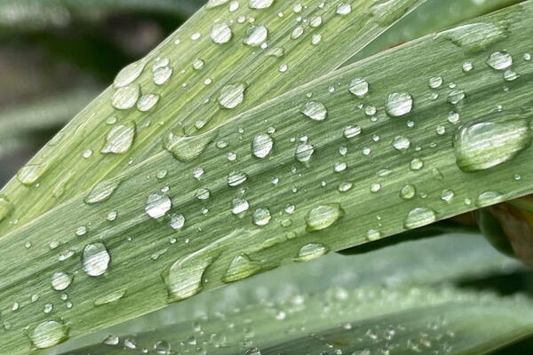 Фотография экшн-игры «Большая игра»