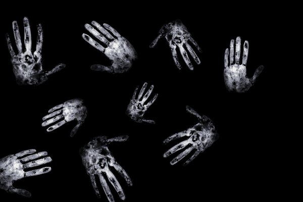 Фотография квеста «На ощупь»