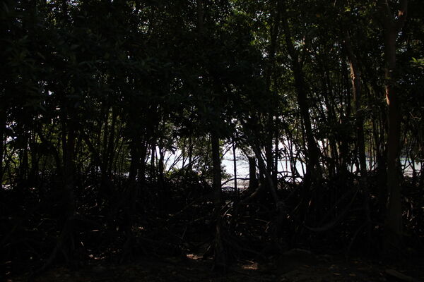 Фотография квеста «Delete769»