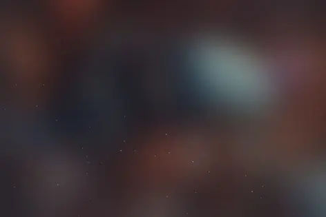 Городской квест «Большая фотоохота» от QUESTERN