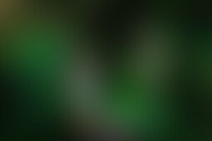 Фотография квеста Джуманджи 2.0 от компании Wonder Quest (Фото 1)