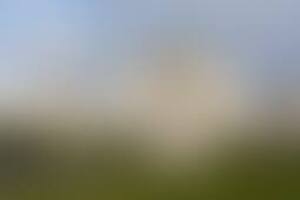 Фотография городского квеста Лавров против "Горбатого Арбата" от компании Ubego (Фото 2)