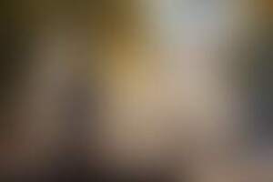 Фотография городского квеста Цветаевская Москва от компании Ubego (Фото 1)