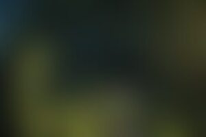 Фотография экшн-игры Прятки "Поймай меня, если сможешь!" (Лабиринт №1) от компании Аркейн (Фото 1)