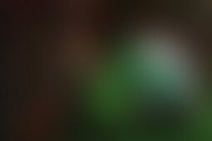 Фотография квеста Джуманджи 2.0 от компании Wonder Quest (Фото 2)