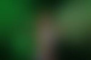 Фотография квеста Джуманджи 2.0 от компании Wonder Quest (Фото 3)