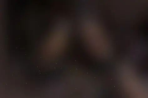 Квест-Перформанс «Scarlet Darkness» от Quest Stars