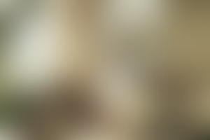 Фотография квеста Ностальгия от компании Инсайт Квест (Фото 2)