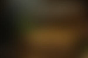 Фотография городского квеста Алое золото Курской, или История горных королей от компании Gistoria (Фото 1)