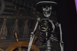 Фотография квеста Ловушка для Джека Воробья от компании Ловушка (Фото 3)