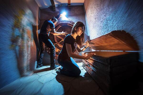 Фотография квеста «Книга жизни Леонардо да Винчи»