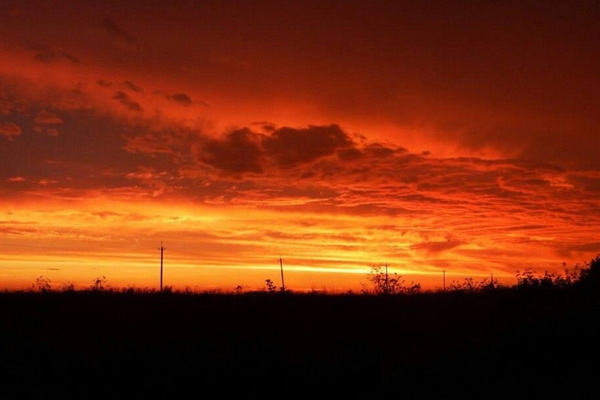 Фотография перформанса «Паника 2.0»