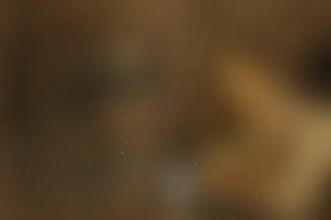 Квест «Кривые зеркала» от Quest Stars/ATMOquest