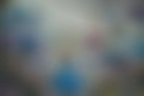 Городской квест «Удивительные Сокольники» от Surprise Me