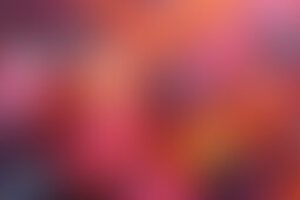 Фотография ролевого квеста Голливуд от компании ЖКМ (Фото 1)