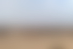 Фотография ролевого квеста Пустыня от компании ЖКМ (Фото 1)