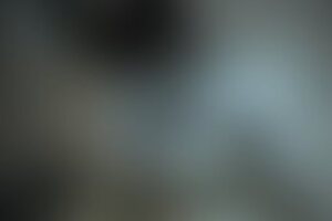 Фотография квеста Ботанический бум от компании ExitGames (Фото 1)