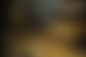 Фотография экшн-игры Форт Боярд от компании Fastumgame (Фото 1)