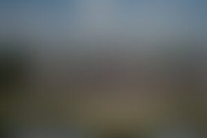 Фотография городского квеста Pro Park в музее-заповеднике "Царицыно" от компании Веселое путешествие (Фото 1)