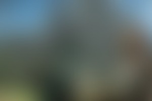 Фотография VR-квеста Еlven Assassin от компании Гравити-17 (Фото 1)
