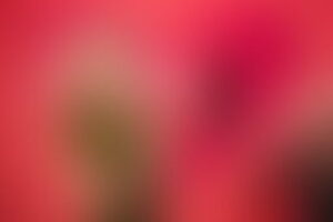 Фотография квеста Романтическое свидание от компании Квестомания (Фото 3)