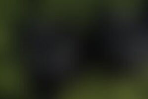 Фотография квеста Как Михаэль страху учился от компании Клаустрофобия (Фото 1)