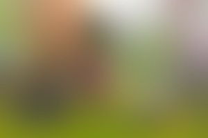 Фотография квеста Алиса от компании Исключение (Фото 2)