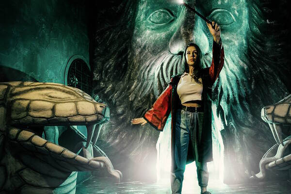 Гарри. Приключения в Хогвартсе