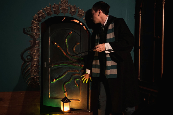 Фотография квеста «Гарри и тайна василиска»