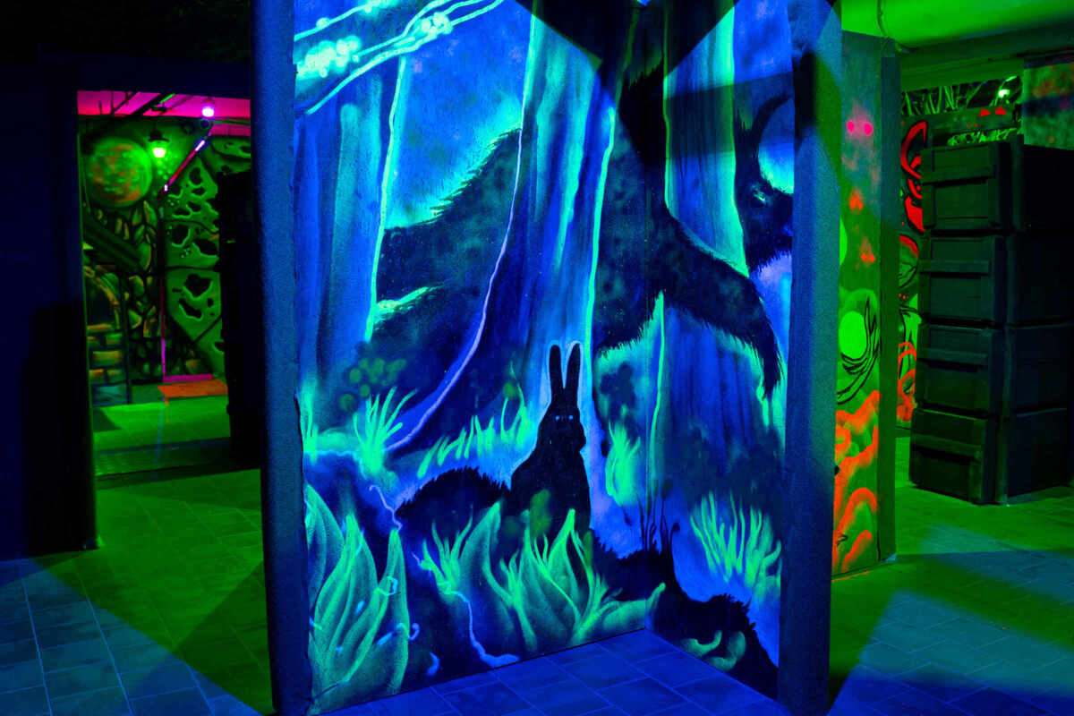 Фотография экшн-игры Лазертаг "Телепорт" от компании Lasertag Arena (Фото 4)