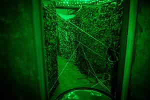 Фотография экшн-игры Лазертаг "Телепорт" от компании Lasertag Arena (Фото 4)