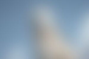 Фотография квеста delete1336 от компании Delete (Фото 1)