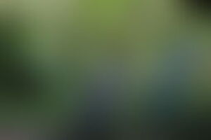 Фотография квеста Профессор Вуду от компании Погружение (Фото 1)