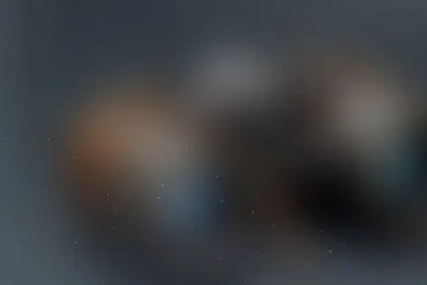 Городской квест «Спасти разведчика» от Веселое путешествие