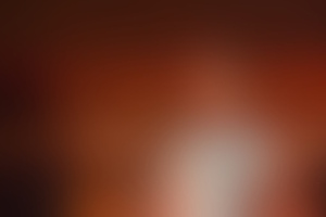 Фотография ролевого квеста Последний конфедерат от компании Игры Бибикова (Фото 1)