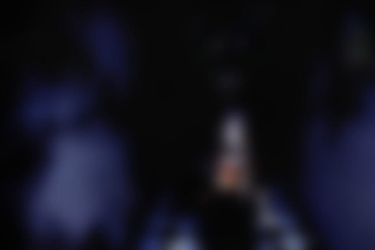 Фотография перформанса Пять ночей с Фредди / Five Nights at Freddy's от компании Quest Stars (Фото 1)