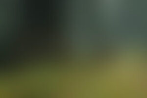 Фотография VR-квеста Delete20372 от компании Delete (Фото 1)