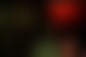 Фотография перформанса Исчезнувшие. Последний эксперимент от компании Experiment Quest (Фото 2)