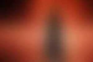 Фотография перформанса Дом Беллы от компании Grimteam (Фото 2)