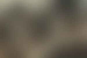 Фотография квеста ЗомбиБар от компании ЗомбиБар (Фото 1)