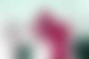 Фотография VR-квеста Delete22743 от компании Delete (Фото 1)