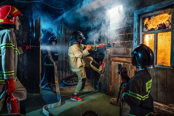 Дело храбрых